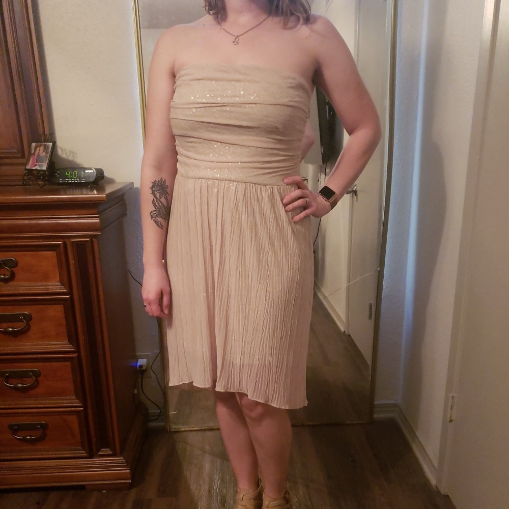 Absolutely BEAUTIFUL nude dress